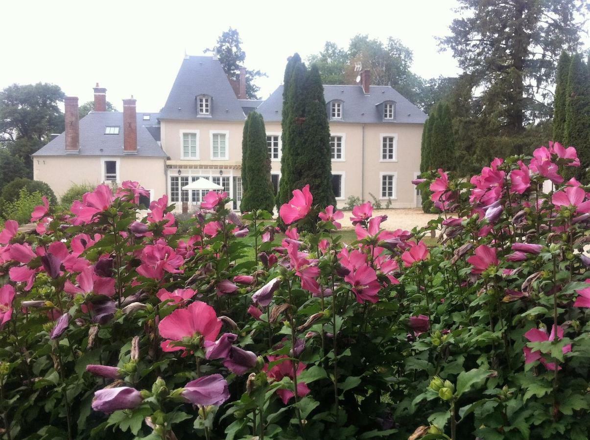 Chateau De Moison, Domaine Eco Nature Ivoy-le-Pré Exterior foto